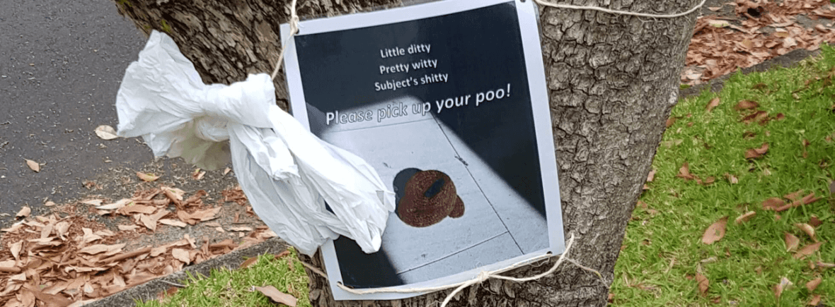 'Pick up your poo' poster on a tree with bags